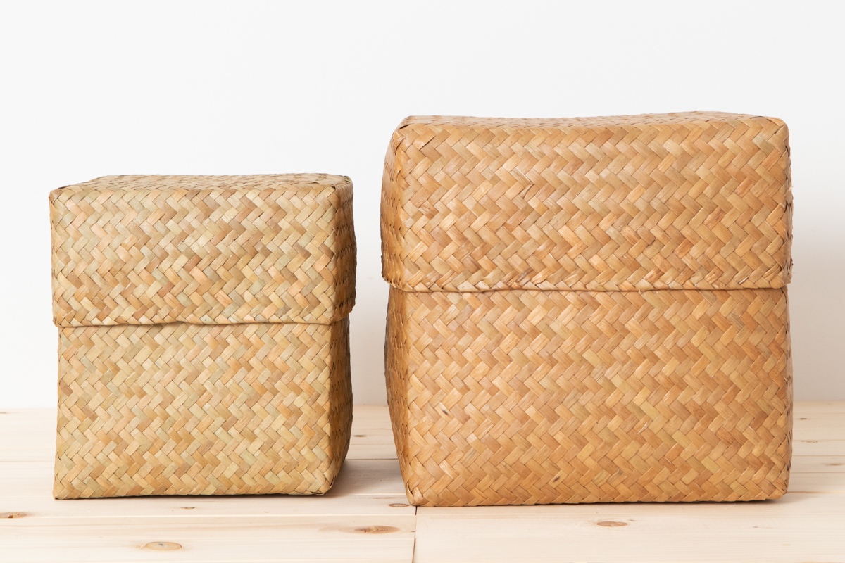 R3115114　タイ/カチュー（水草）　整理かご　蓋付き　キューブ　M・L　2サイズ