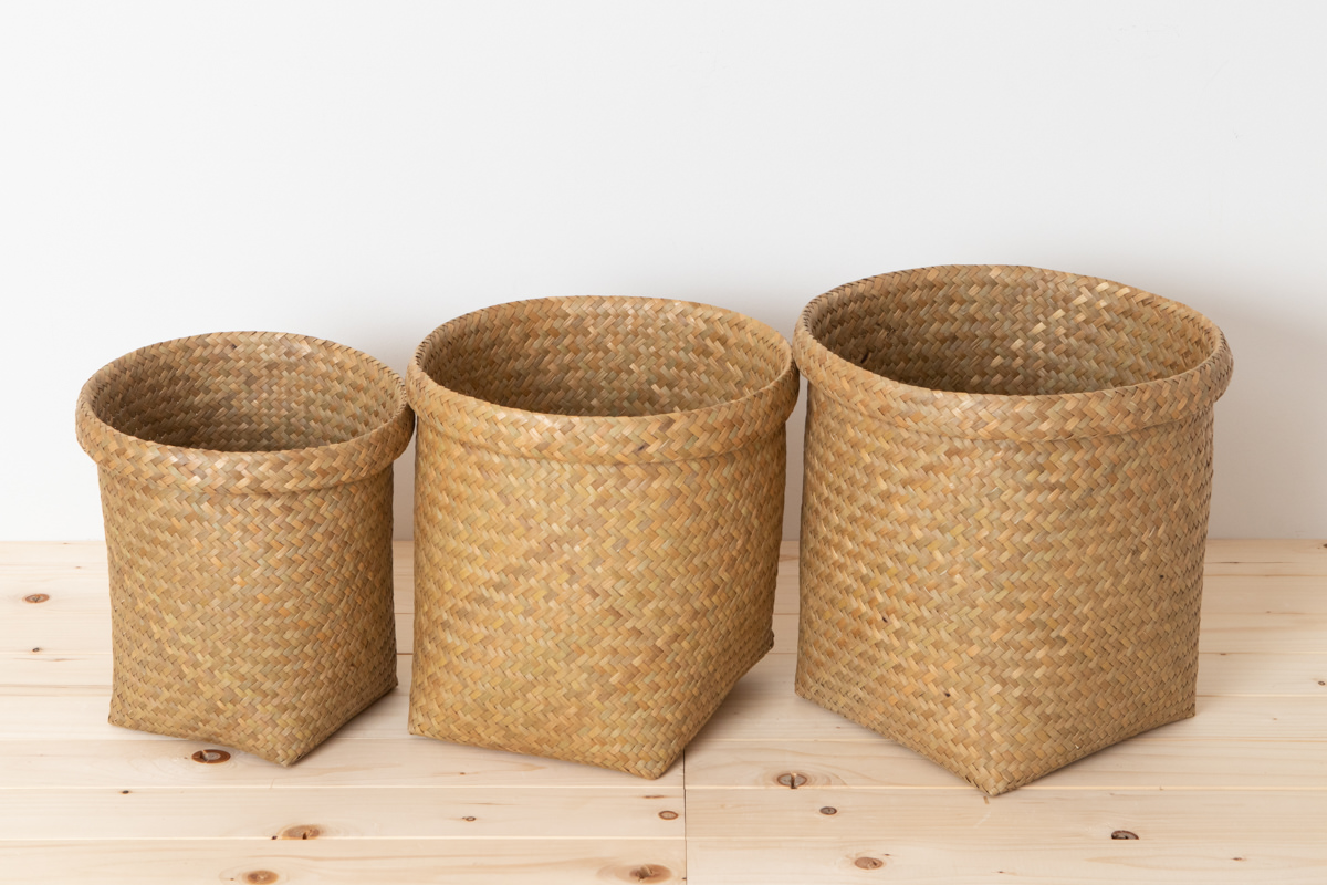 R3115112　タイ/カチュー（水草）　丸かご　スタンド型　S・M・L　3サイズ