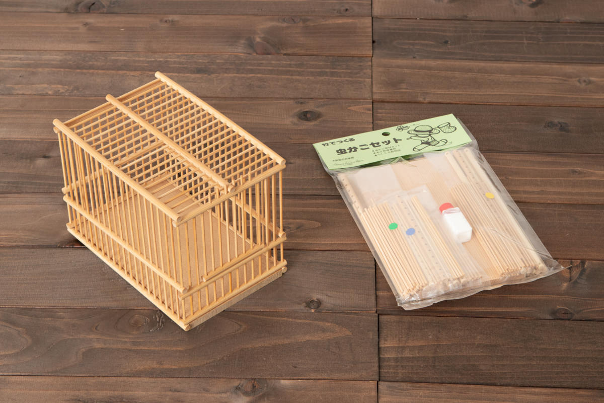 R220401-1　兵庫県/孟宗竹　虫かごキット