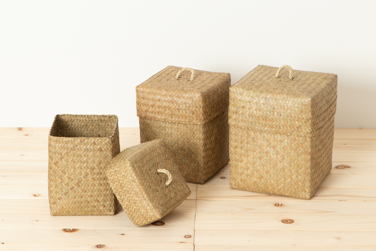 R3115126　タイ/カチュー（水草）　蓋付き整理かご　どんぐり　S・M・L　3サイズ