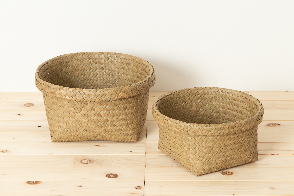 R3115124　タイ/カチュー（水草）　丸かご　S・M　2サイズ