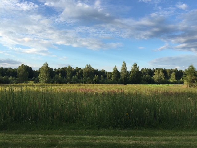 R140512　リトアニア/やなぎ　丸バスケット　S・L　2サイズ