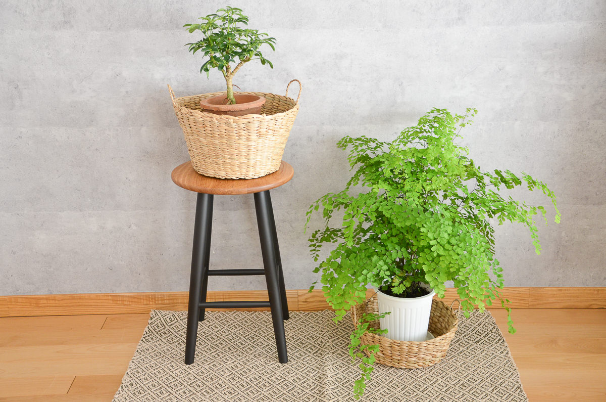 R3115416　タイ/コック（すげ）　ストックバスケット　小・大　2サイズ