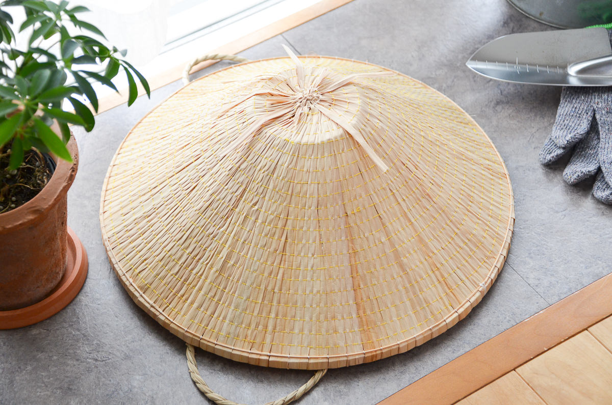 R810407　富山県/すげ(菅)　菅笠　富士（38cm）・浅山（42cm）　2タイプ